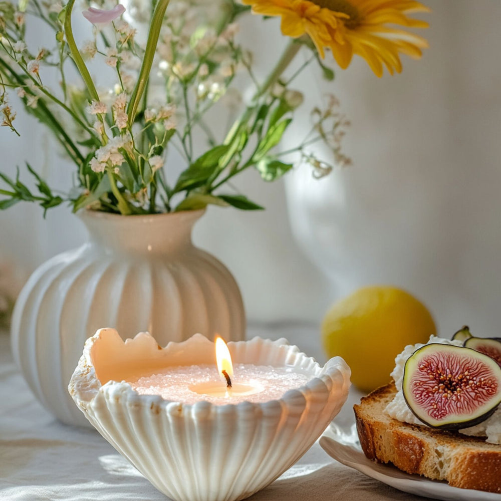 A kitchen tabletop scene featuring a lit pastel pink Candella Sand Candle in a unique white seashell vessel.